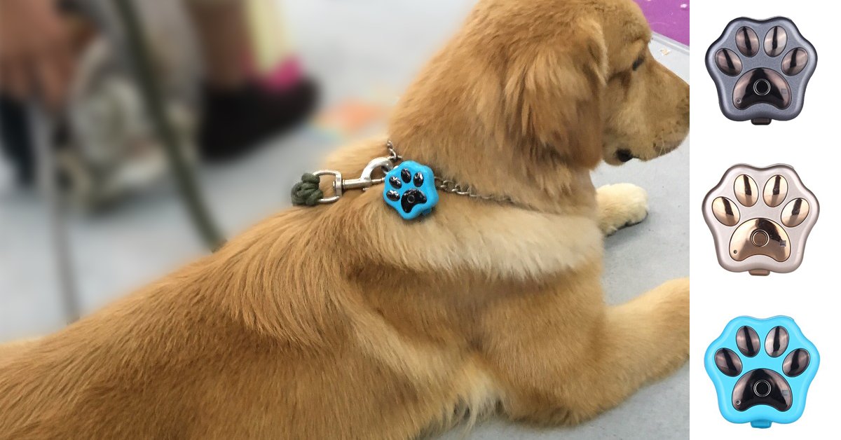 girlspooches's tweet photo. Attach the cute paw print GPS Lost Dog Tracker to your dogs collar 🐕and if he escapes your yard or house, you can find him 🐾. Easy to set up and track on your Smart Phone 📲. Don't wait until it's too late... BUY NOW --->> https://t.co/PvKtcw6ryk FREE WORLDWIDE SHIPPING! https://t.co/iGuvLMAZaH