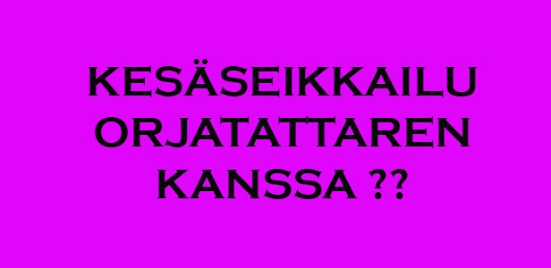 VilliIra's tweet photo. Orjatar studiolla myös päivisin. Haluatko mukaamme ? https://t.co/mbAuRXjMzV