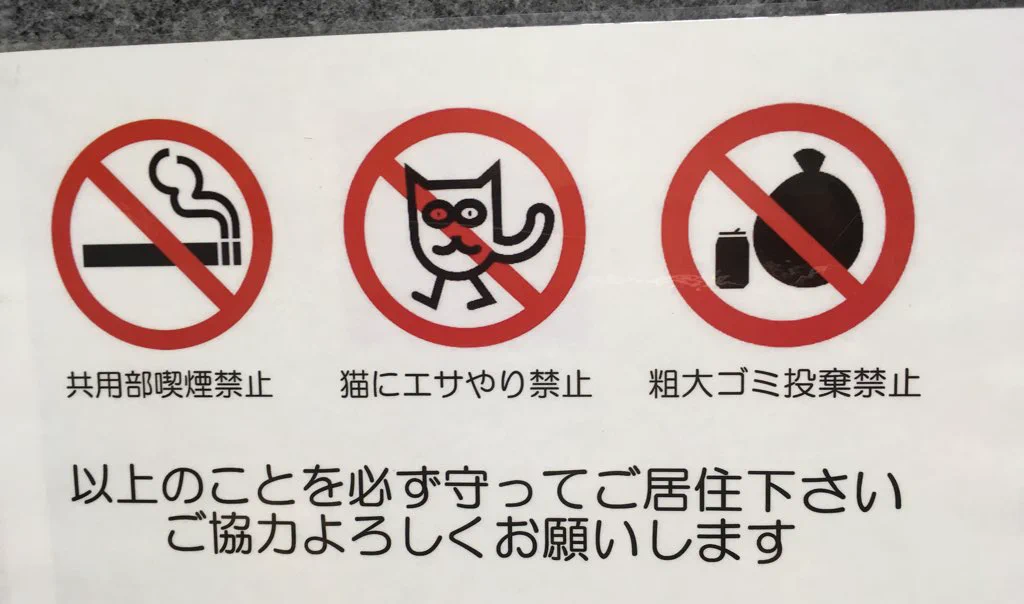 猫にエサやり禁止はわかるけど？これは本当に猫？ｗｗｗ