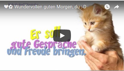 Guten Morgen Videos Fur Whatsapp Lustige Guten Morgen