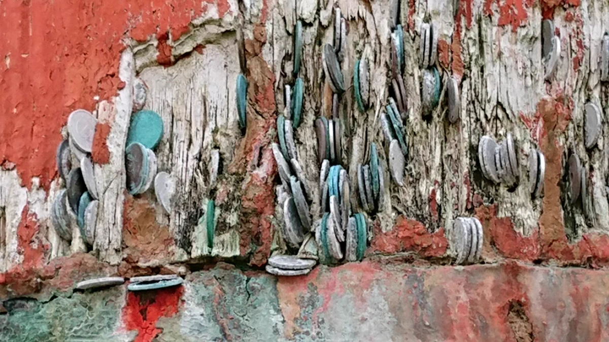 実はお金を挟むのはNGだった？！厳島神社の鳥居にお金を挟むのはやめて自然を守りましょう！