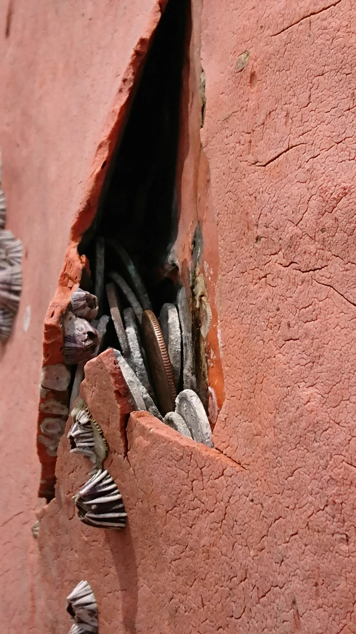 実はお金を挟むのはNGだった？！厳島神社の鳥居にお金を挟むのはやめて自然を守りましょう！