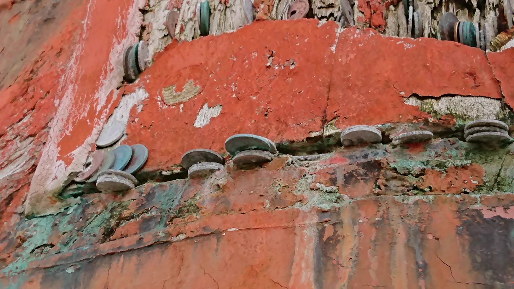 実はお金を挟むのはNGだった？！厳島神社の鳥居にお金を挟むのはやめて自然を守りましょう！