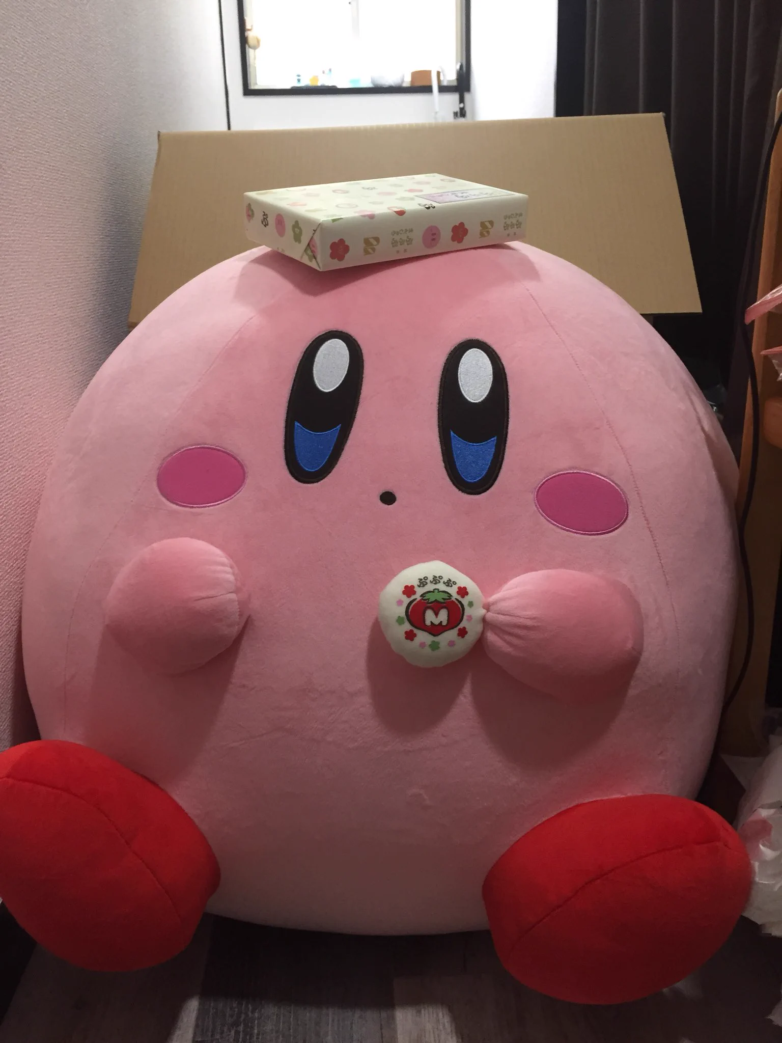 圧縮されずにやってきたふわふわカービィ！もこもこで可愛いけどでっかいww