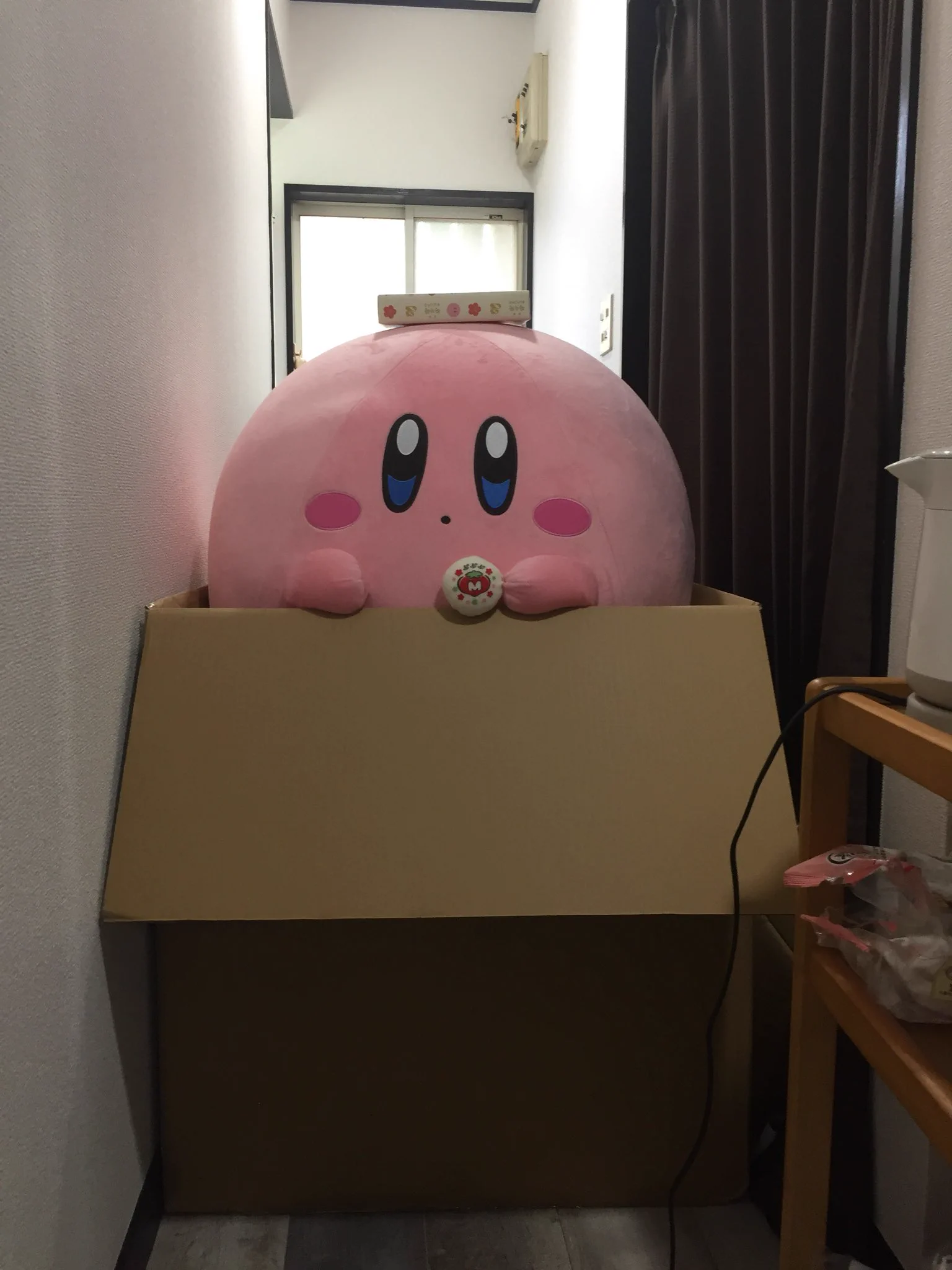 圧縮されずにやってきたふわふわカービィ！もこもこで可愛いけどでっかいww