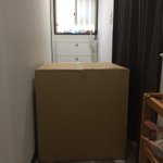 圧縮されずにやってきたふわふわカービィ!もこもこで可愛いけどでっかいw
