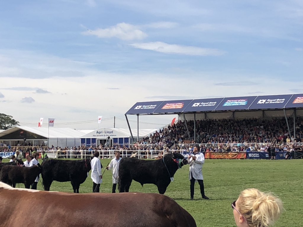 newlandfarm's tweet photo. Saturday’s Grande Parade Cattle #RHAS2018 #HighlandShow #MainRing https://t.co/9IPCNNaB2u