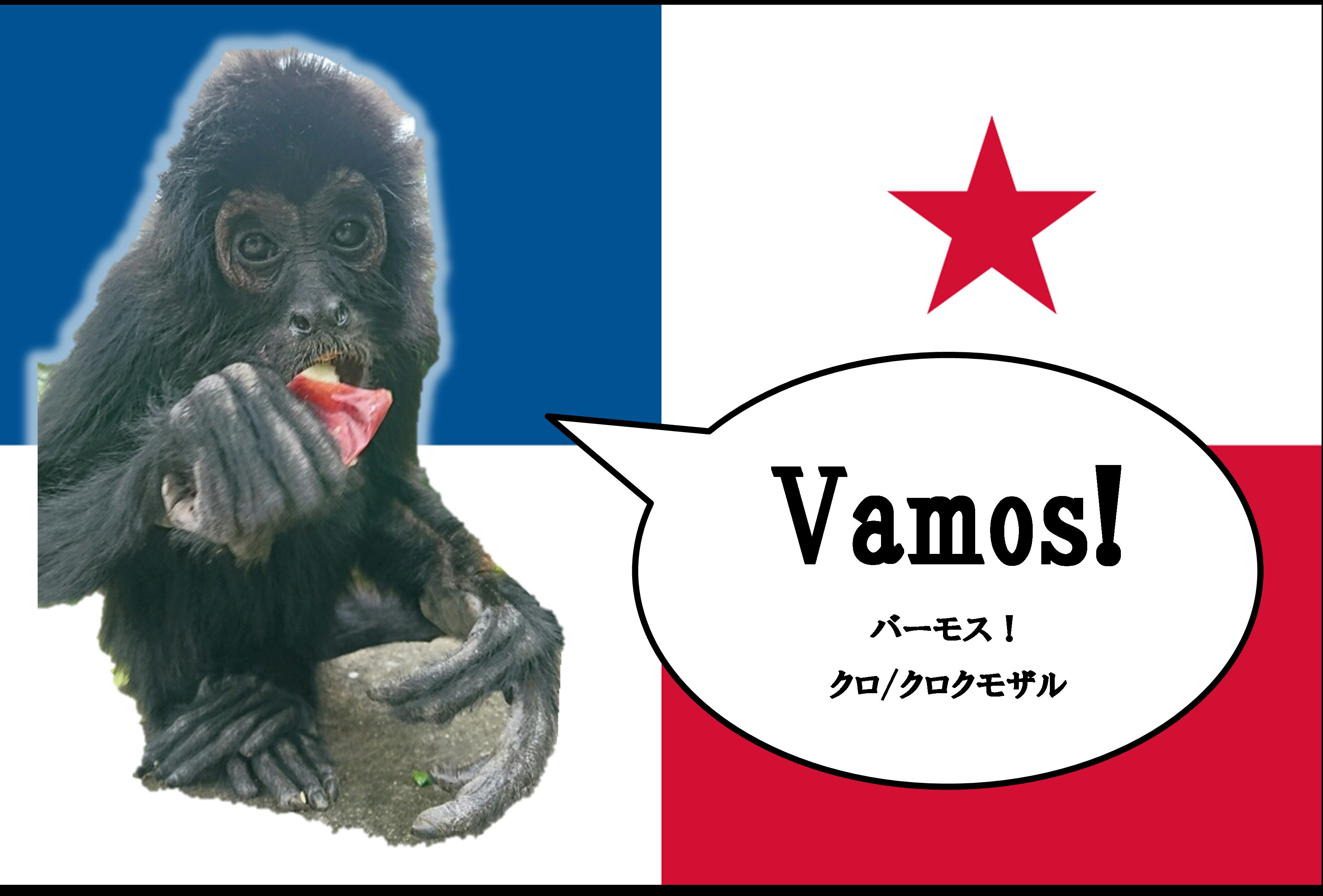 パナマ代表 Twitter Search Twitter