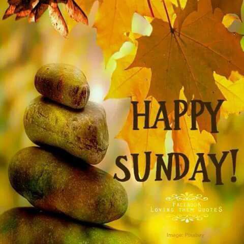 Happy Sunday.