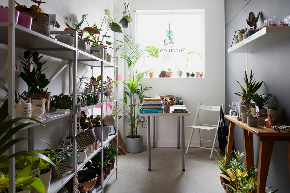 It's #succulentsunday so why not pop in and see us in our shop and browse some gorgeous greenery buff.ly/2MhR9aa