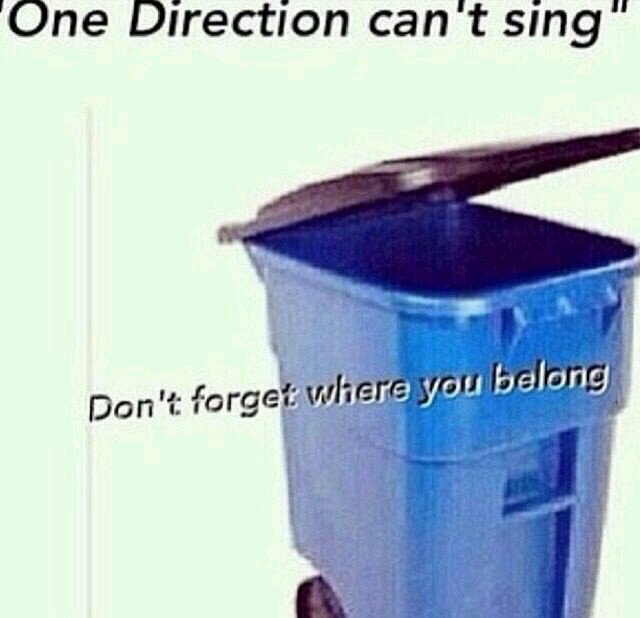 paansiklen's tweet photo. My #TeenChoice for #ChoiceFandom is #Directioners by @onedirection https://t.co/PgkUP3wwTb