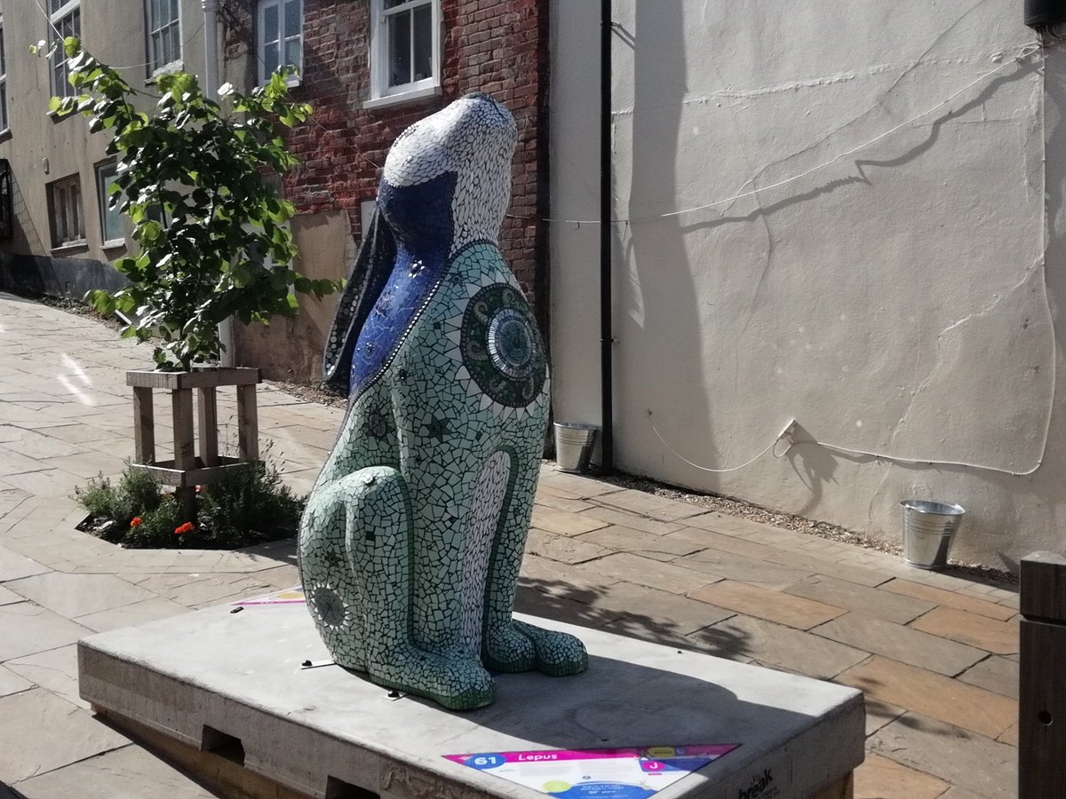 GoGoLepus's tweet image. I think hare, therefore I am hare. @anneschweg @GoGoHares2018 @break_charity @HopInPub @justeditor @NorthNorfolkDC.