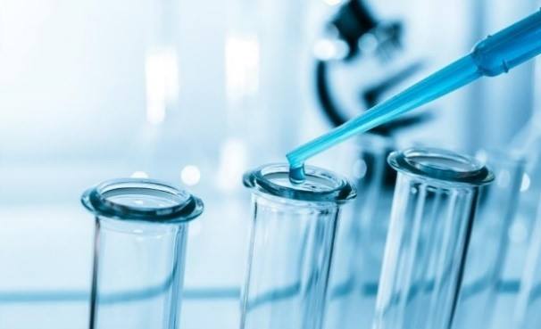 AffideaGroup's tweet photo. Novel research finds that the enzyme telomerase may potentially play a crucial role in slowing aging and curing cancer. https://t.co/DnABtXtMhI #SundayNews https://t.co/A152R5iOZw