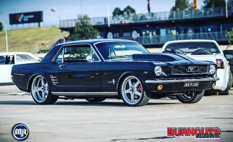 1966 Coupe 😎 #mustang #fordmustang #fordnation #mustanggt #mustangnation #mustangpride #mustanglovers #stang #stanggang #stanglife #sexystangs #classicmustang #blackmustang #musclecar #americanmuscle #muscle #ponycar #carporn #carphotography #automotivephotography #simmonswheels