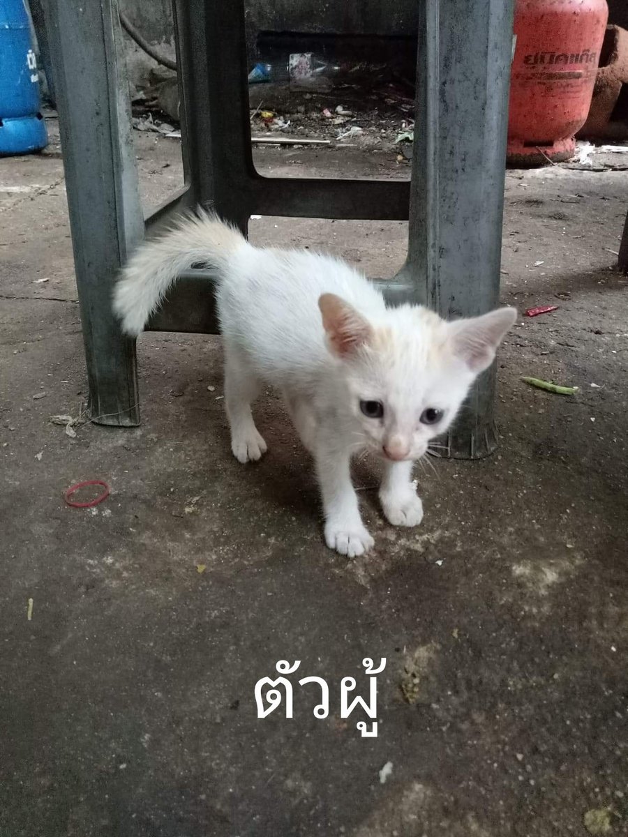 DSmin tweet media