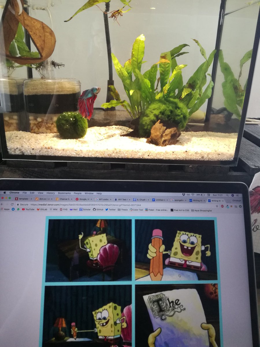 cloud_dev_'s tweet image. Best company for me to finalise my thesis. (he doesn't talk much)🐠 #last36hours #thesis