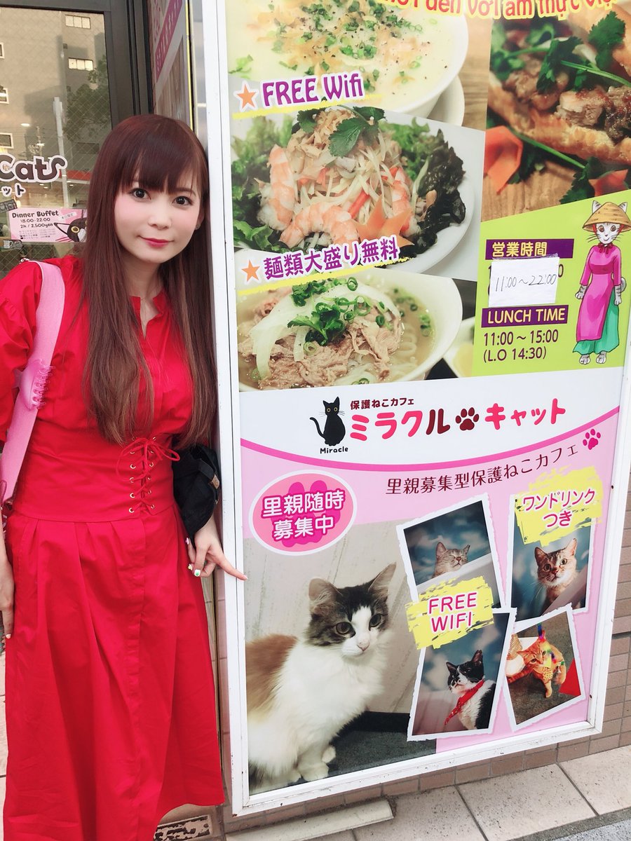 名古屋 金山 ミラクルキャットついたなう ピンクちゃんが看板になってるー 保護ねこカフェだよ わたしは看板の絵を描くお手伝いをしました ねこたちが幸せになりますように わたしが里親第一号になりました 周年の中川翔子 Scoopnest