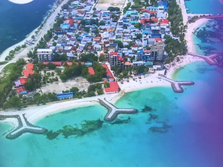 TeamMTCC tweet media