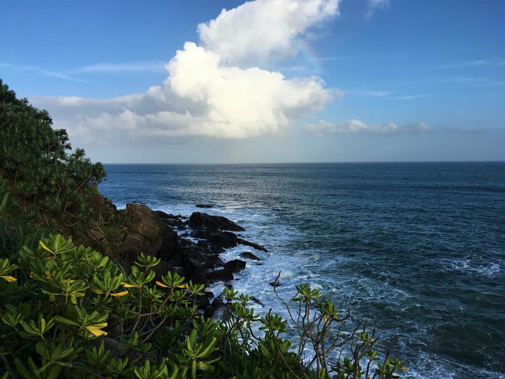 floriellaHU's tweet photo. The WONDER 💙 One of the most beautiful places we’ve ever seen. View from Hotel Aurora
https://t.co/lCnqLPURX3

#wonder #hotelview #neartonature #talallabeach #srilanka #VisitSriLanka #WonderofAsia #travelling #travel #travelphoto #travelphotography #utazunk #floriella #kiscsalád https://t.co/rTvIgx2J7K