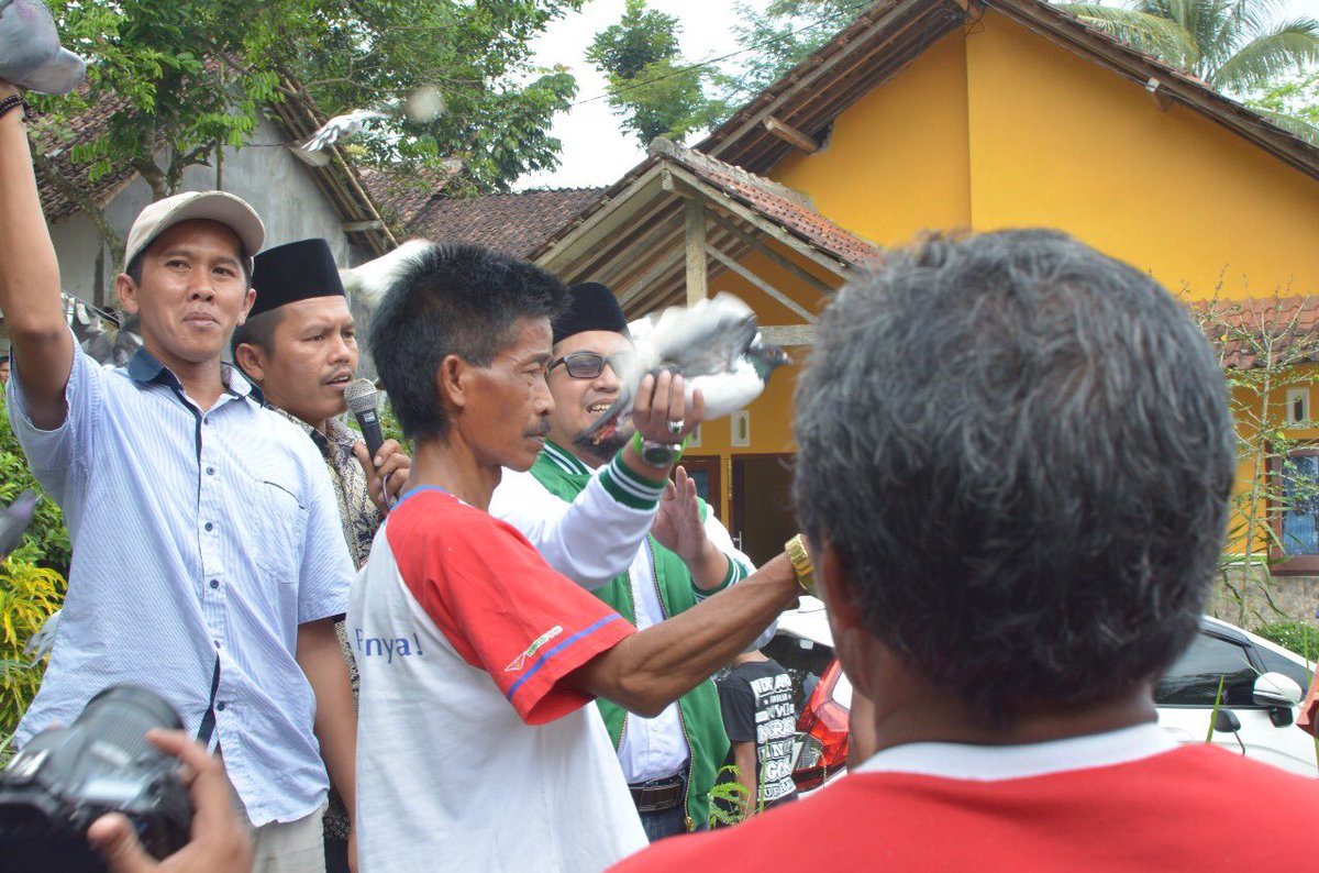guskhozin's tweet photo. Bersama Komunitas Burung Merpati di Desa Sukorambi, Kec. Sukorambi, Kab. Jember... https://t.co/cwEo1jOZgX