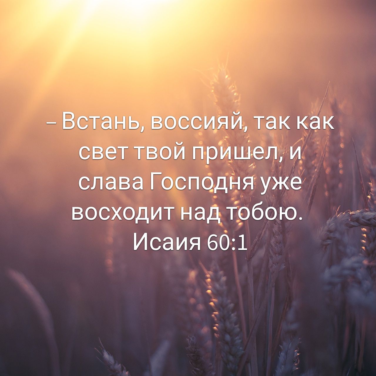 Так да светит свет ваш пред людьми чтобы они видели ваши добрые дела
