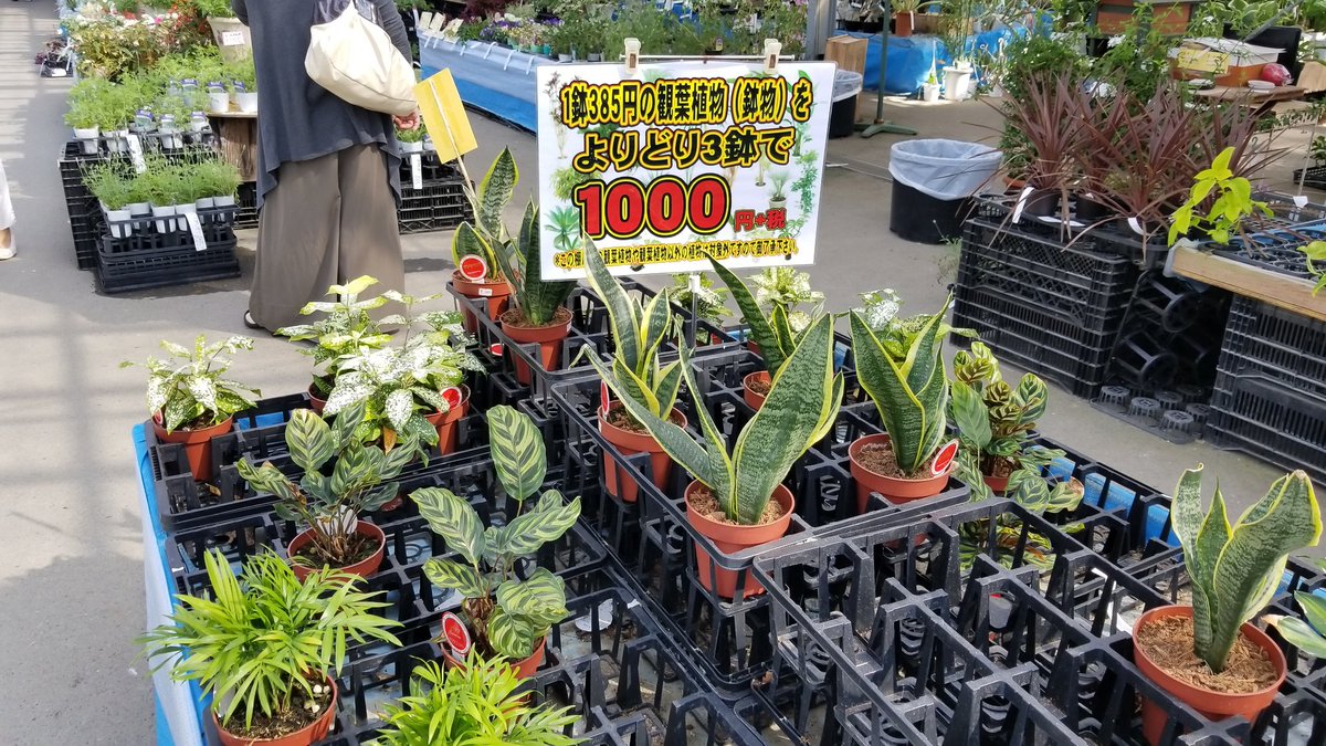 ひろき 今日は国華園にも行ってきたよ ここは以前に紹介した店舗じゃなくて貝塚市の店舗に行ってきました
