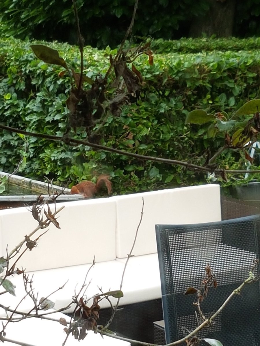 Op de verjaardag van onze dochter heeft de eerste bezoeker zic gemeld