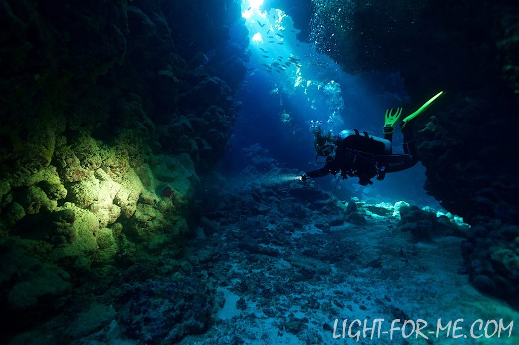 dive_tecdiving's tweet photo. #lightforme 3XML Alexandra light head in the southern Red Sea #scuba #scubadiving #redsea https://t.co/QcezNvDmDc