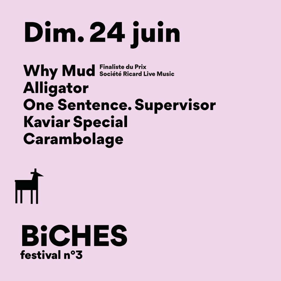 ☀️ #BICHESFEST JOUR 3☀️
> Ouverture des portes à 12h

🌳13h : <a href="/whymud/">WHY  MUD</a> (@RLM_Team )
🌳13h45 : Alligator
🌳14h30 : One Sentence. Supervisor
🌳16h15 : Kaviar Special
🌳17h15 : Carambolage

🌳et bien sûr des dj sets !

 Infos et réservations : biches-festival.fr