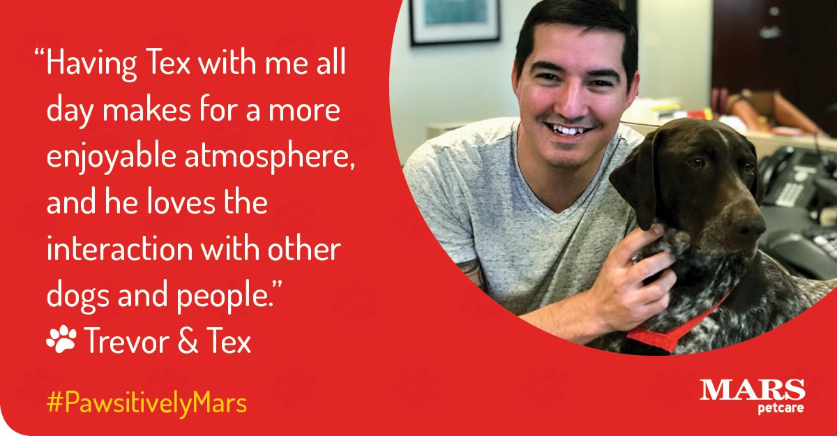 MarsPetcareUS's tweet photo. Why do #PetsWorkAtWork? They make the day better! "Having Tex with me all day makes for a more enjoyable atmosphere," says our Associate Trevor about Tex, his German Shorthaired Pointer. #PawsitivelyMars https://t.co/URonuHMFMq