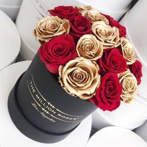 JasminDotCom's tweet photo. What better way to spend Sunday evening than with a gorgeous set of roses shipped to me all the way from L.A via The Million Roses! 🌹 🌹 🌹
📸 : @pinterest
.
.
.
#RedRoses #TheMillionRoses #Rosetagram #JasminsFlowers #Roses #RedRoses #GoldRoses #FlowerPower 🌹 🌹 🌹 https://t.co/NH5YYBP6QN