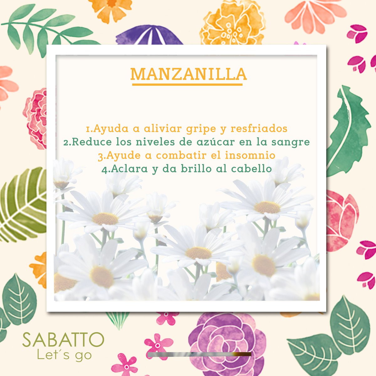 SabattoMx's tweet photo. ¿Conoces los beneficios que aporta la manzanilla? 🍵 https://t.co/SjAksLW4RI