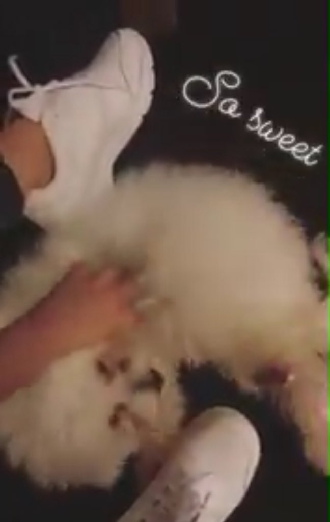 weirdaintboring's tweet photo. Kiwi: Donny sabi ko KUNIN mo ko, hind ibigay sa iba. INTINDI
#WALWAL3DaysToGo
@delavinkisses @donnypangilinan https://t.co/KTb8v3B6If