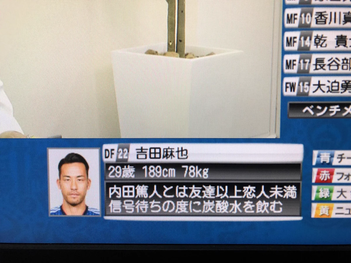 センス半端ないって！！　Wカップ放送時、ｄデータに表示される選手情報がおもしろすぎるｗｗｗ