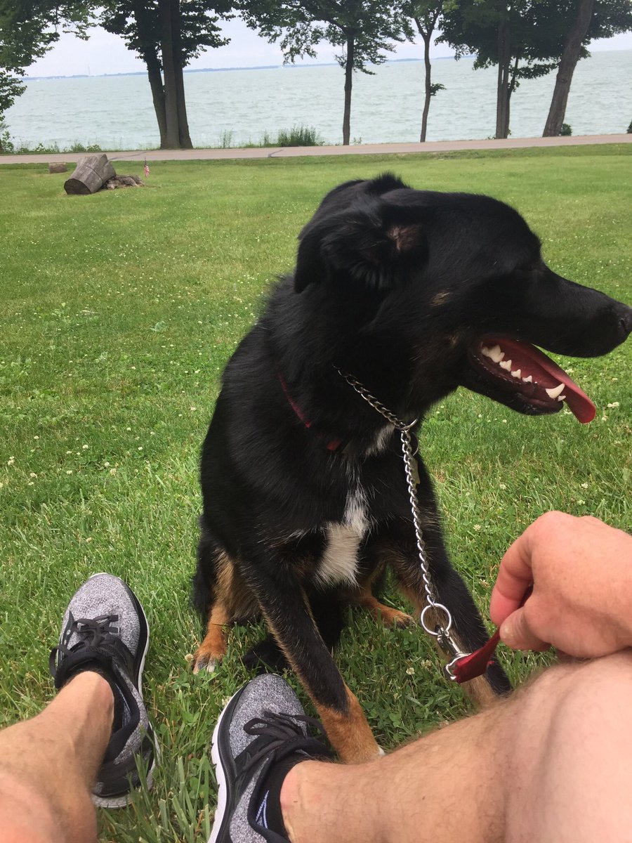 adambhartley's tweet image. Post-run recovery with my running buddy! #foundationbuilding #TCSNYCMarathon #TeamTCSTeachers #TCS50 @TCS @tcs_na