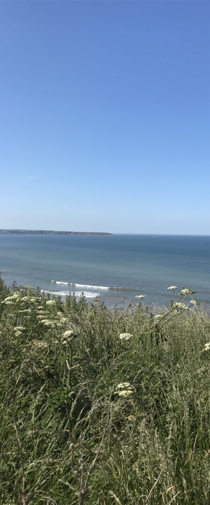 Bedew11's tweet photo. @r1luafc Afternoon walk 😍 #lovethisplace #wanttostayforever #filey https://t.co/23HNc1yxWW
