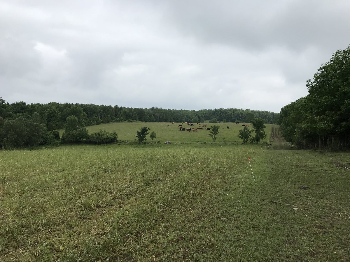 Glad the rain came we were getting a little too dry up there