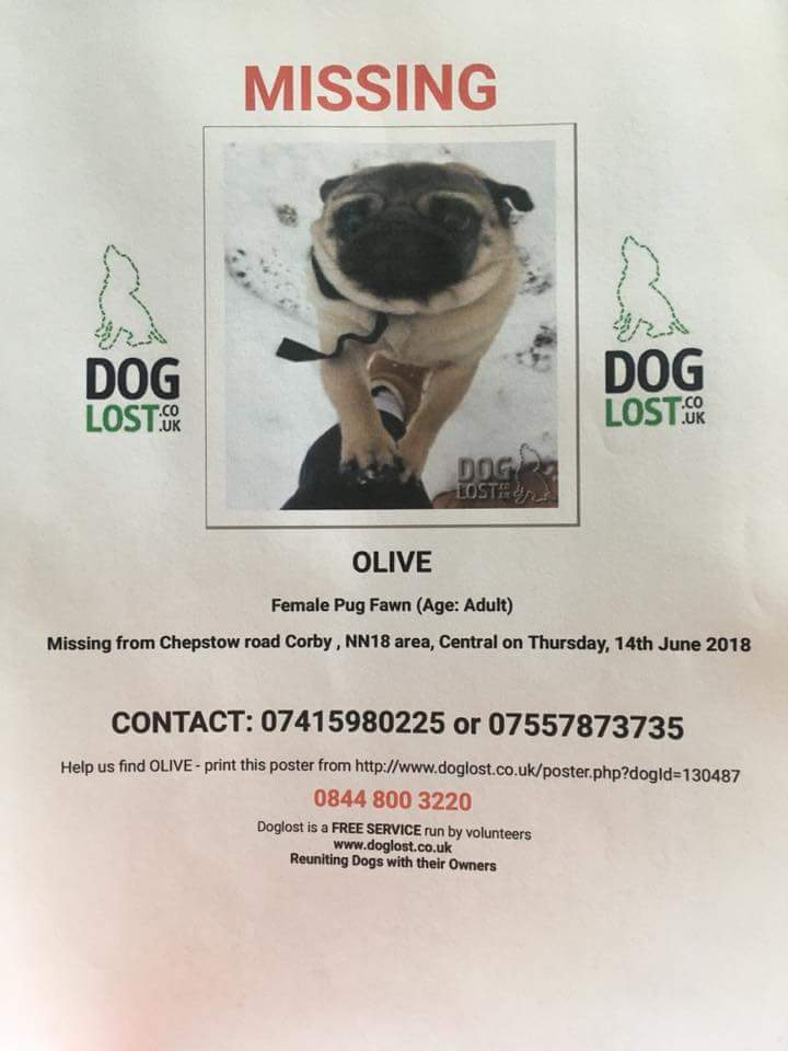 fromthemarkside's tweet photo. #MAKETOOHOTTOHANDLE #stolen #pug please RT help find. see description in pics and report to police https://t.co/El8tIh8f5i https://t.co/Iv5hEd0M03