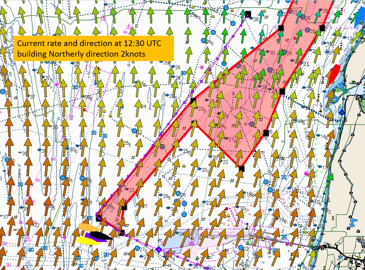Race Experts tweet media