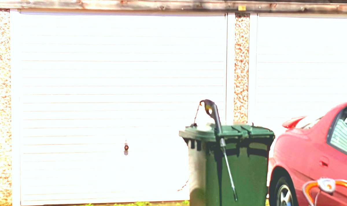 snavEwerdnA's tweet photo. Pressure washed the garden garage doors; wish I hadn't... #imblinddec https://t.co/Kz8XUI5Zma