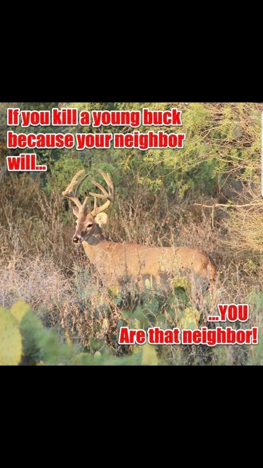 God Country Outdoor (@deerhunting313) on Twitter photo 