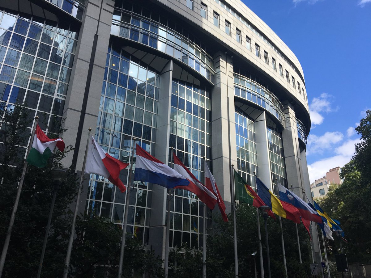 D_TEACH1's tweet image. Wij @D_TEACH1 zijn officieel ‘Gevorderde European Parliament Ambassador School’ - Fier! Dank @EP_Belgium @ryckeveldevzw #EPASbe