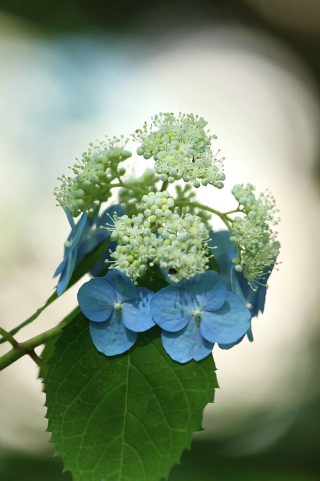 A vida é bela`•...🌱