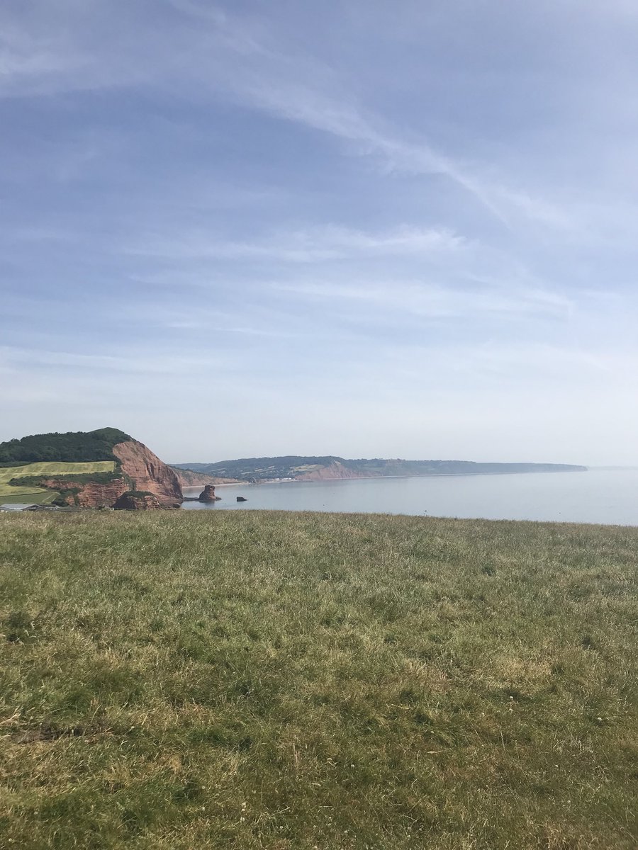 Sarah Davies tweet media