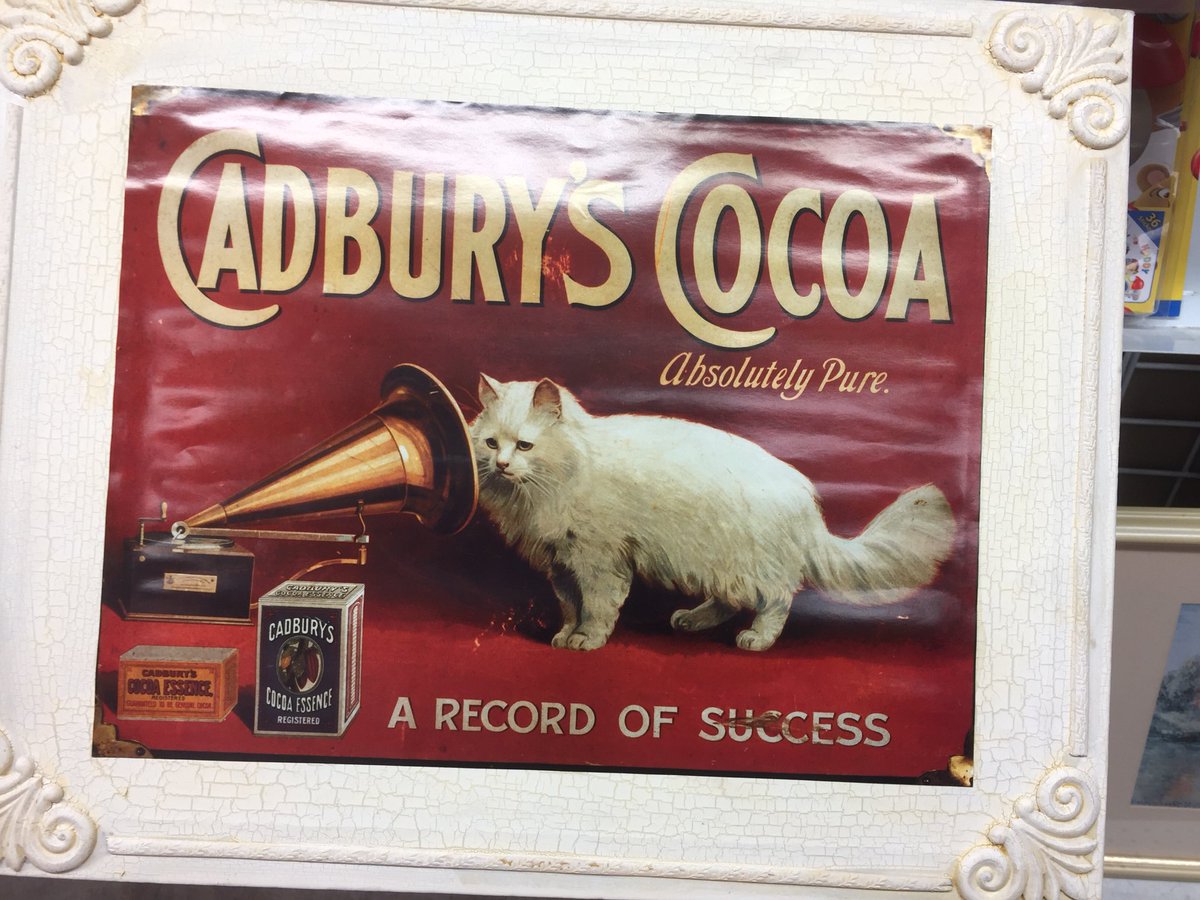 rabbitsrule9149's tweet photo. @GHardstark look what I found for $8. A bargain if you ask me https://t.co/lnyIhgHq8Z