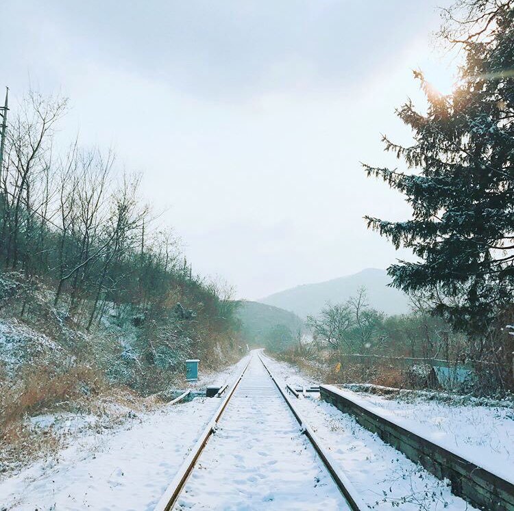 guknim's tweet photo. taehyung loves taking pictures of beautiful sceneries https://t.co/5zEVHjN4Fd