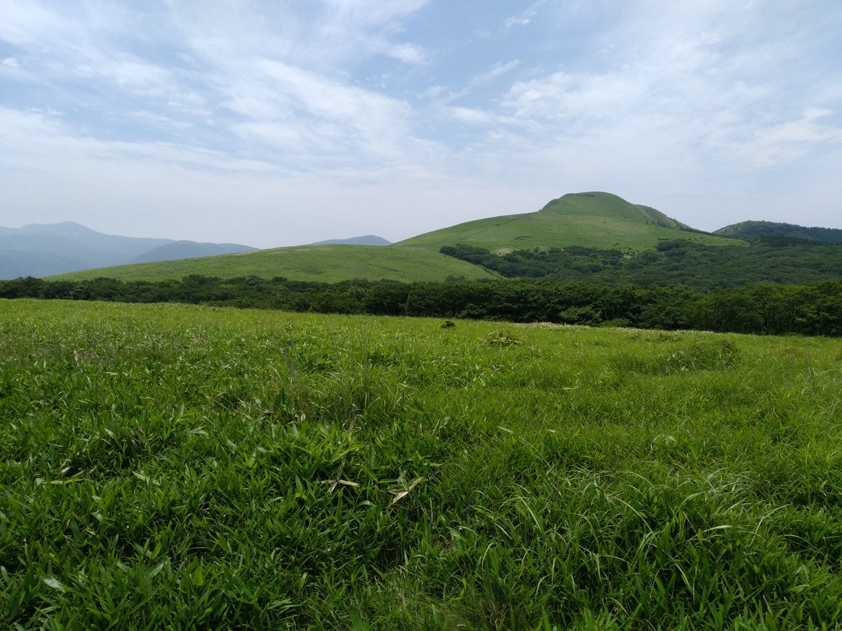 itky3950459's tweet photo. 梅雨の晴れ間で登山へ。大分と熊本の境にある涌蓋山。草原のさわやかな風に癒されました。わずかに残ったミヤマキリシマの花も。 https://t.co/ZO7DsYYILg