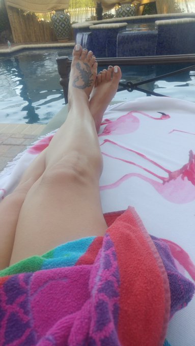 Another beautiful morning @SlaveToEden https://t.co/zrGeLpRnlp<a class="tags" target="_blank" title="On Twitter" href="/?out=eyJ0eXAiOiJKV1QiLCJhbGciOiJIUzUxMiJ9.eyJpYXQiOjE3MTk4NjU5OTEsImlzcyI6InR3cG9ybnN0YXJzLmNvbSIsIm5iZiI6MTcxOTg2NTk5MSwiZXhwIjoxNzUxNDAxOTkxLCJyZWRpcmVjdF91cmwiOiJodHRwczovL3R3aXR0ZXIuY29tL1NsYXZlVG9FZGVuIn0.lWM5bvkh8rL5pn7onaZxQ_txwhgcHqyKm4wy3sOoQ4KnL9bq-hnvjtATeLSAuorRU_gR9pl0h7R6lTCm6ceV1w">@SlaveToEden</a><a href="/tag/exxxoticamiami"class="tags"><span>#exxxoticamiami</span></a>