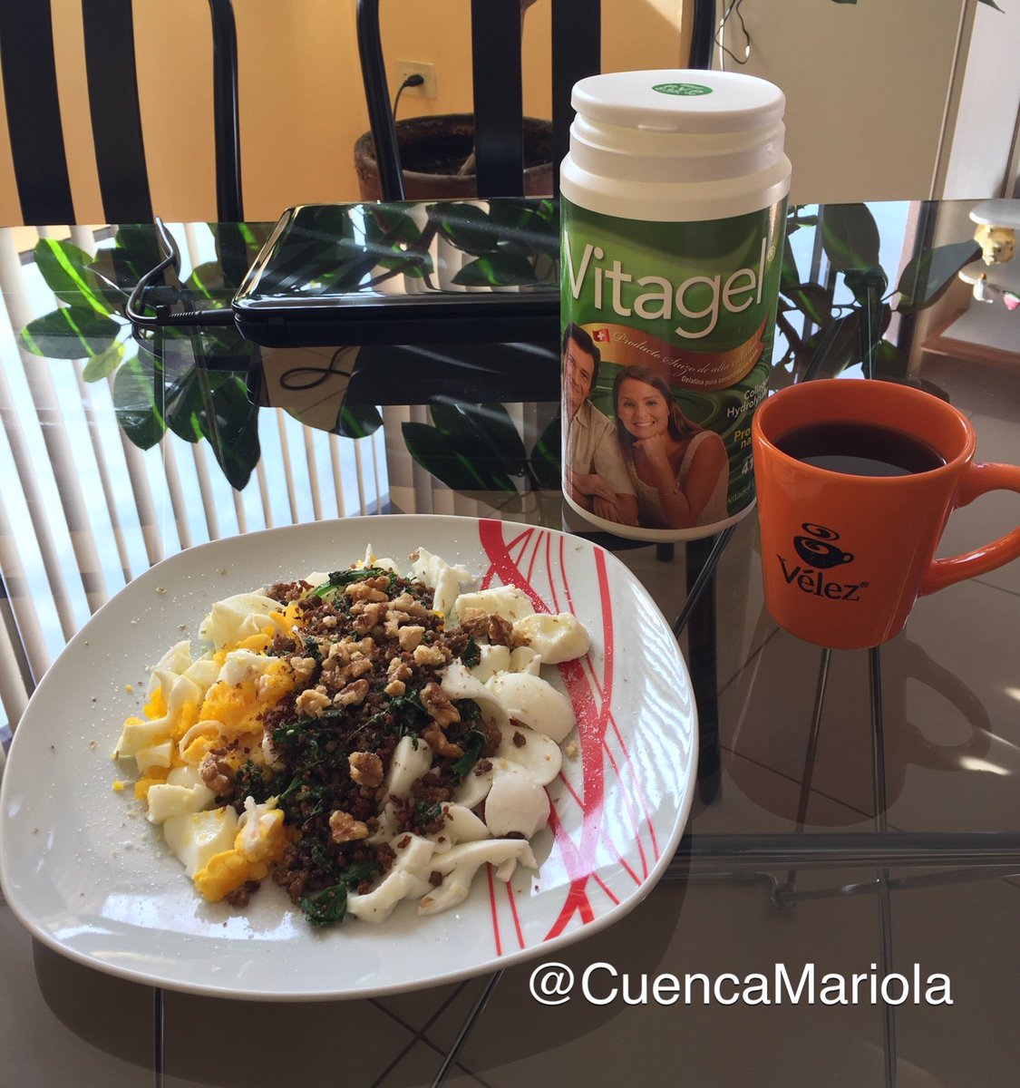 CuencaMariola's tweet photo. Feliz domingo☀️mi delicioso desayuno dominguero 😋 #Vitagel  @Vitagel_  #fitness #groupfitness #robpalak @robpalak  Robert Palacios #fitnessmotivation #fitnessgirlsmotivation #smarttrainingec @Hustlecosupply @infojagmedia https://t.co/yJPlxG2TmO