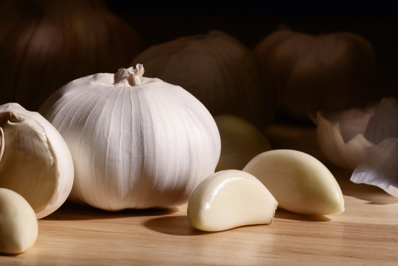 BioTrustNut's tweet photo. #didyouknow Garlic doesn’t just keep away the vampires. Garlic has been proven to be effective against mosquitoes and ticks.

Like this #BioTrustHealthFact? Like our page! https://t.co/gfXCDVKADG